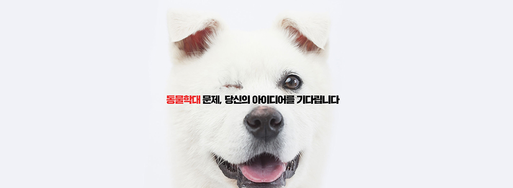 행정안전부 도전 한국 캠페인-동물학대문제 해결_빅아이디어연구소